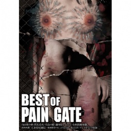 BEST OF PAIN GATE