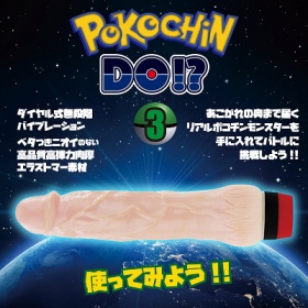 POKOCHIN DO!?(ポコチンどう!?) (3)